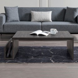 Τραπεζάκι σαλονιού Regnar χρώμα rebab 100,6x55x31,8εκ.