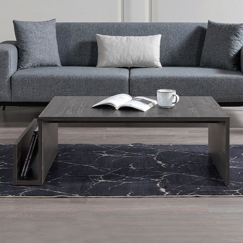 Τραπεζάκι σαλονιού Regnar χρώμα rebab 100,6x55x31,8εκ.