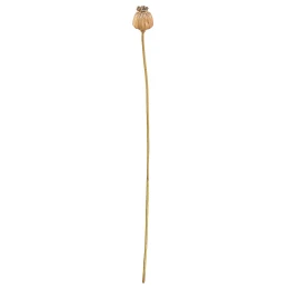 Κλαδί Σενέκιο Τεχνητό Καφέ 55cm