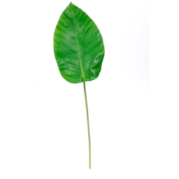 Κλαδί Τεχνητό Πράσινο 82cm