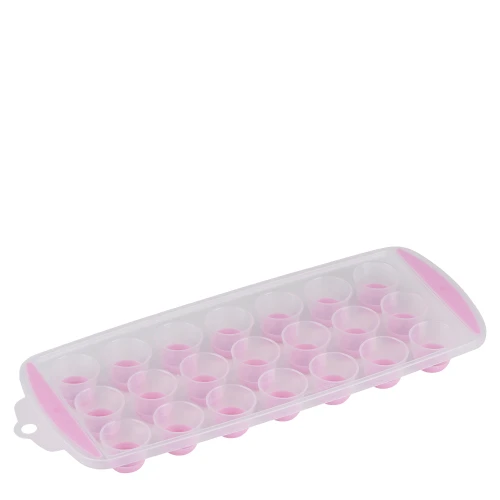 Παγοθήκη 21 Θέσεων PP 29x12x3cm Σε 4 Χρώματα ALPINA