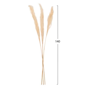 ΔΙΑΚΟΣΜΗΤΙΚΟ ΜΠΟΥΚΕΤΟ ΑΠΟΞΗΡΑΜΕΝΑ ΚΑΛΑΜΙΑ HM7961 ΛΕΥΚΟ 3TMX 140Υεκ.