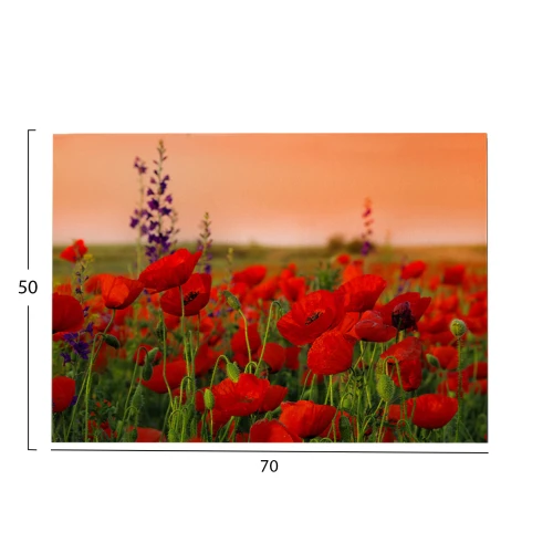 ΠΙΝΑΚΑΣ TOIXOY ΣΕΙΡΑ GOBI HM4760 ΕΚΤΥΠΩΜΕΝΟΣ ΚΑΜΒΑΣ 70x3(πάχος)x50Υεκ.