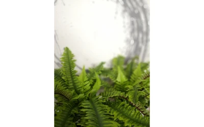 BOSTON FERN ΦΥΤΟ ΤΕΧΝΗΤΟ ΣΕ ΓΛΑΣΤΡΑ 36cm POLYESTER ΠΡΑΣΙΝΟ PE/PP