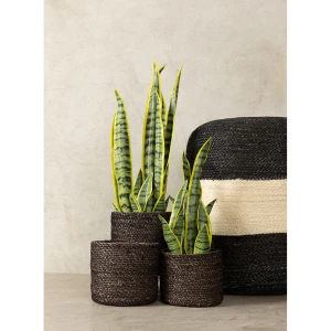 DEL MAR ΚΑΣΠΩ SET 3ΤΜΧ 20x20x18cm SEAGRASS ΜΑΥΡΟ