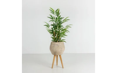 BAMBOO ΦΥΤΟ ΤΕΧΝΗΤΟ ΣΕ ΓΛΑΣΤΡΑ 70cm POLYESTER ΠΡΑΣΙΝΟ PVC