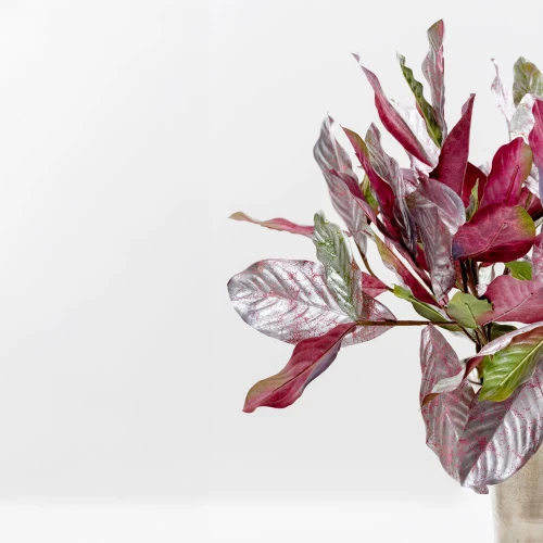 MAGNOLIA LEAVES ΚΛΑΔΙ ΤΕΧΝΗΤΟ 78cm ΥΦΑΣΜΑ ΑΣΗΜΙ ΜΠΟΡΝΤΩ PVC