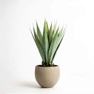 AGAVE ΦΥΤΟ ΤΕΧΝΗΤΟ ΣΕ ΓΛΑΣΤΡΑ 58cm PVC ΠΡΑΣΙΝΟ ΜΑΥΡΟ ΤΣΙΜΕΝΤΟ