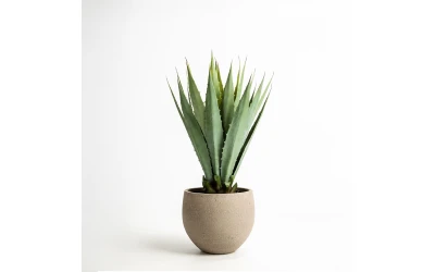 AGAVE ΦΥΤΟ ΤΕΧΝΗΤΟ ΣΕ ΓΛΑΣΤΡΑ 58cm PVC ΠΡΑΣΙΝΟ ΜΑΥΡΟ ΤΣΙΜΕΝΤΟ