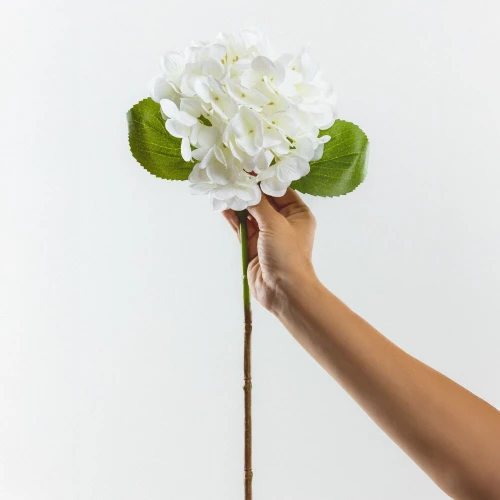 HYDRANGEA ΛΟΥΛΟΥΔΙ ΤΕΧΝΗΤΟ 67cm POLYESTER ΛΕΥΚΟ ΠΡΑΣΙΝΟ