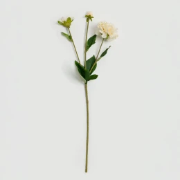 ZINNIA ΛΟΥΛΟΥΔΙ ΤΕΧΝΗΤΟ 62cm POLYESTER ΜΠΕΖ ΠΡΑΣΙΝΟ