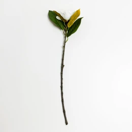 MAGNOLIA ΛΟΥΛΟΥΔΙ ΤΕΧΝΗΤΟ 71cm POLYESTER ΜΠΕΖ ΠΡΑΣΙΝΟ