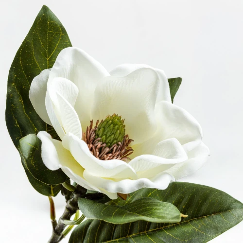 MAGNOLIA ΛΟΥΛΟΥΔΙ ΤΕΧΝΗΤΟ 71cm POLYESTER ΜΠΕΖ ΠΡΑΣΙΝΟ
