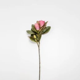 MAGNOLIA ΛΟΥΛΟΥΔΙ ΤΕΧΝΗΤΟ 83cm POLYESTER ΦΟΥΞΙΑ ΠΡΑΣΙΝΟ