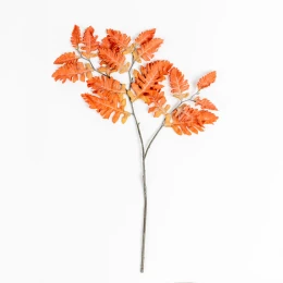 CINERARIA ΚΛΑΔΙ ΤΕΧΝΗΤΟ 70cm POLYESTER TERRACOTTA