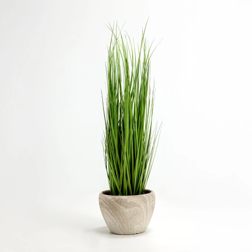 PURE GRASS ΦΥΤΟ ΤΕΧΝΗΤΟ ΣΕ ΓΛΑΣΤΡΑ 90cm PVC ΠΡΑΣΙΝΟ