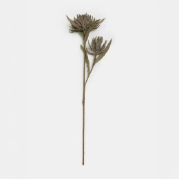 AROMA BLOSSOMS ΛΟΥΛΟΥΔΙ ΤΕΧΝΗΤΟ 57cm FOAM ΚΑΦΕ ΠΡΑΣΙΝΟ PVC