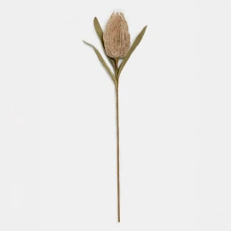 AROMA BLOSSOMS ΛΟΥΛΟΥΔΙ ΤΕΧΝΗΤΟ 63cm FOAM ΚΑΦΕ ΠΡΑΣΙΝΟ PVC