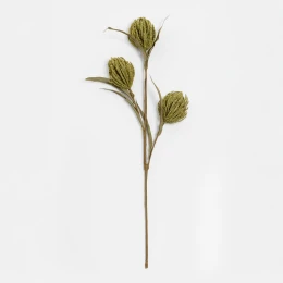 AROMA WISHPER ΛΟΥΛΟΥΔΙ ΤΕΧΝΗΤΟ 65cm FOAM ΠΡΑΣΙΝΟ ΠΡΑΣΙΝΟ PVC