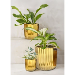 ORO ΚΑΣΠΩ ΣΕΤ 3ΤΜΧ 18x18x18cm ΚΕΡΑΜΙΚΟ ΧΡΥΣΟ