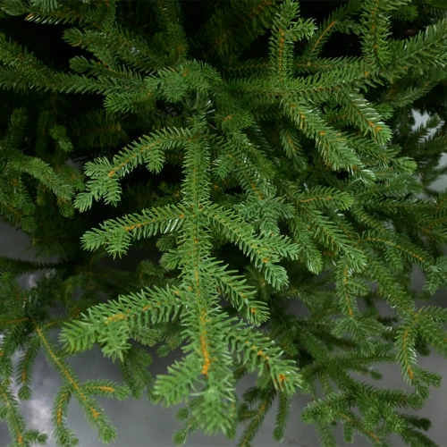 NOEL VERDE ΧΡΙΣΤΟΥΓΕΝΝΙΑΤΙΚΟ ΔΕΝΤΡΟ 150x150x210cm PE/PVC ΠΡΑΣΙΝΟ