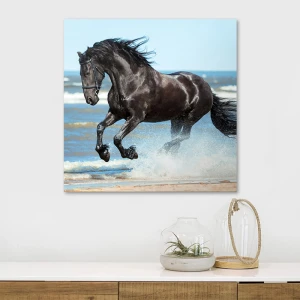 Πίνακας σε καμβά "Black Horse" ψηφιακής εκτύπωσης 60x60x3εκ.