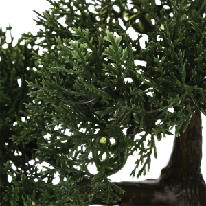 Φυτό Σε Γλάστρα Green18 35X32X34Εκ