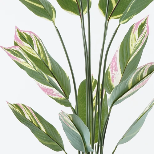 Διακοσμητικό Φυτό Σε Γλάστρα Aglaonema Inart Πράσινο Φ80X150Εκ