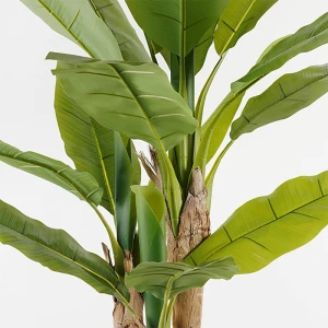 Διακοσμητικό Φυτό Σε Γλάστρα Banana Tree Inart Πράσινο Φ53X190Εκ