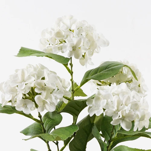 Διακοσμητικό Φυτό Σε Γλάστρα Hydrangea Inart Λευκό Φ35X50Εκ