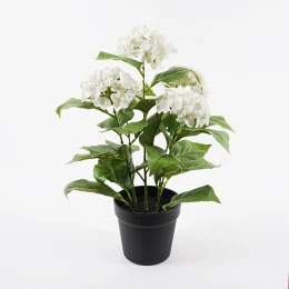 Διακοσμητικό Φυτό Σε Γλάστρα Hydrangea Inart Λευκό Φ35X50Εκ