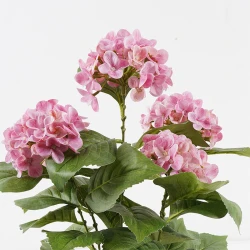 Διακοσμητικό Φυτό Σε Γλάστρα Hydrangea Inart Ροζ Φ35X50Εκ