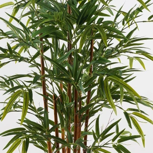 Διακοσμητικό Φυτό Σε Γλάστρα Rhapis Palm Inart Πράσινο Φ60X120Εκ