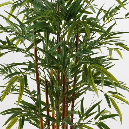 Διακοσμητικό Φυτό Σε Γλάστρα Rhapis Palm Inart Πράσινο Φ60X120Εκ
