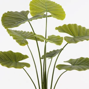 Διακοσμητικό Φυτό Σε Γλάστρα Alocasia Inart Πράσινο Φ90X120Εκ
