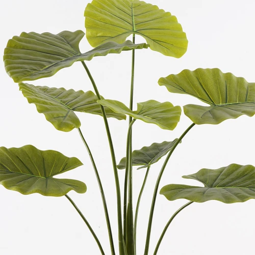 Διακοσμητικό Φυτό Σε Γλάστρα Alocasia Inart Πράσινο Φ90X120Εκ