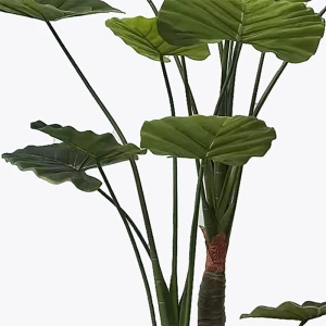 Διακοσμητικό Φυτό Σε Γλάστρα Taro Plant Inart Πράσινο Φ90X180Εκ