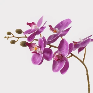 Διακοσμητικό Φυτό Σε Γλάστρα Οrchid Beauty Inart 30X13X46Εκ