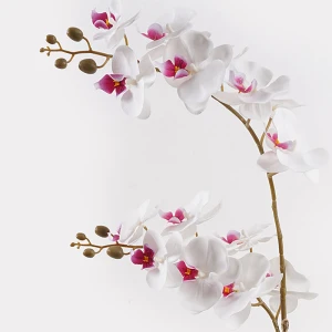 Διακοσμητικό Φυτό Σε Γλάστρα Οrchid White Inart 36X17X65Εκ