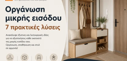 Οργάνωση μικρής εισόδου με 7 πρακτικές λύσεις